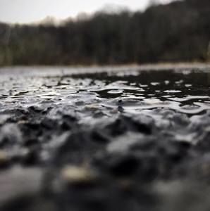 Meet your Posher, Nina